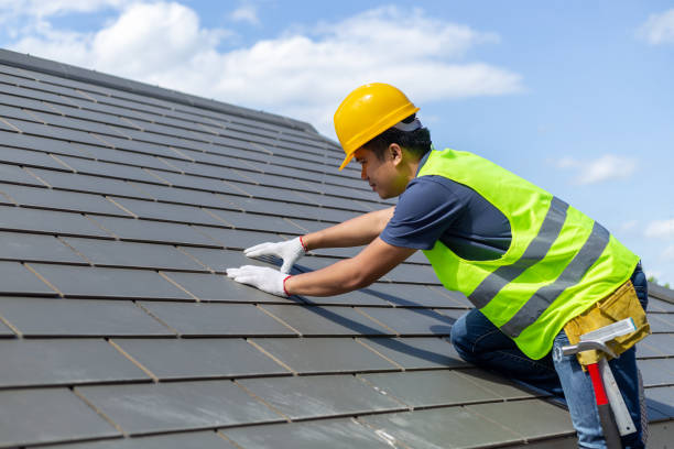 Best Shingle Roofing Installation  in Daleville, VA