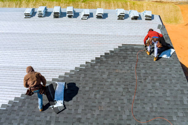 Best Gutter Installation and Roofing  in Daleville, VA