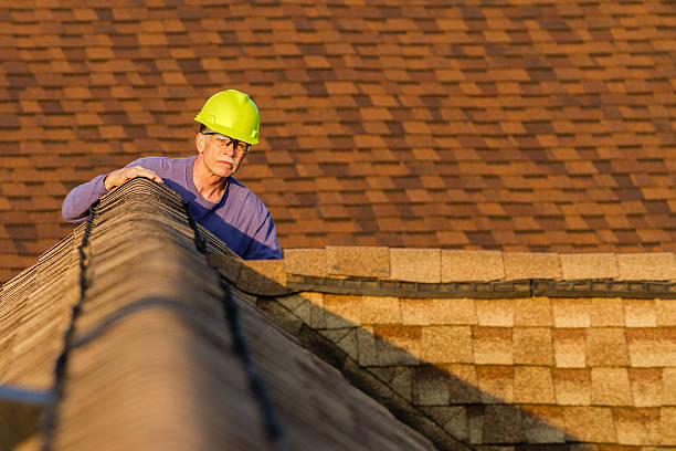 Best Roof Gutter Cleaning  in Daleville, VA