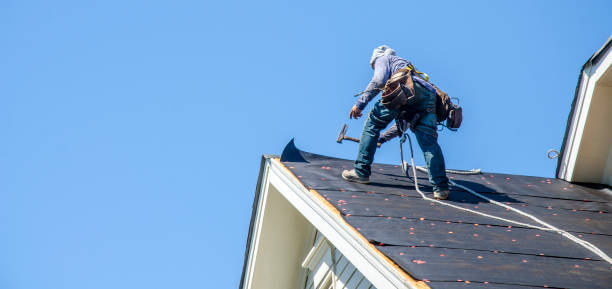 Best Best Roofing Contractors  in Daleville, VA